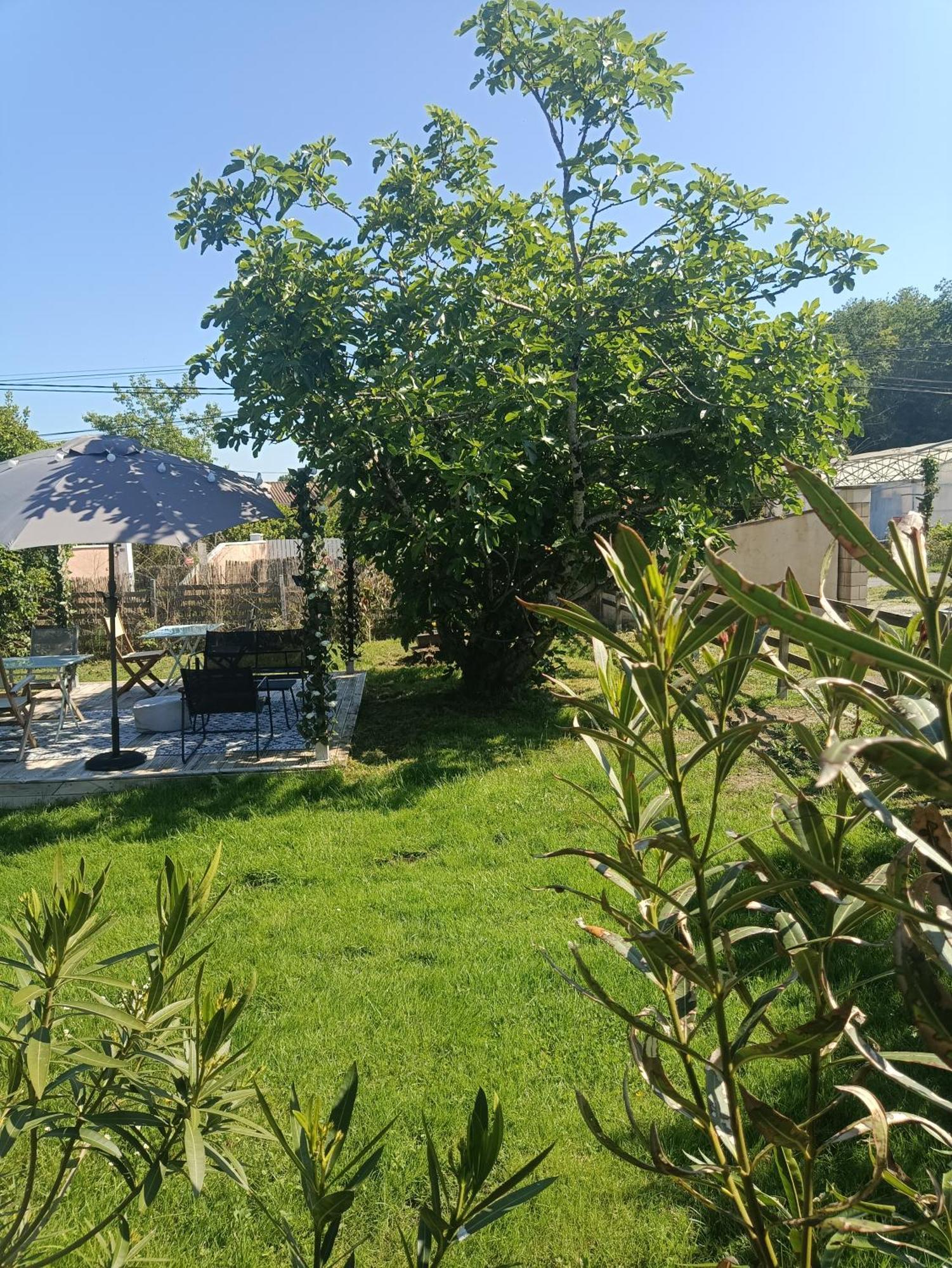Chambre D'Hotes Les Macarons De Tata Sainte-Eulalie  Εξωτερικό φωτογραφία